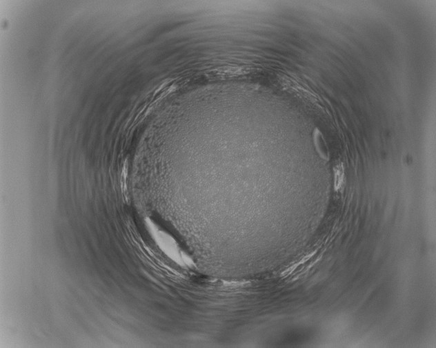 X0000059801011200510211046