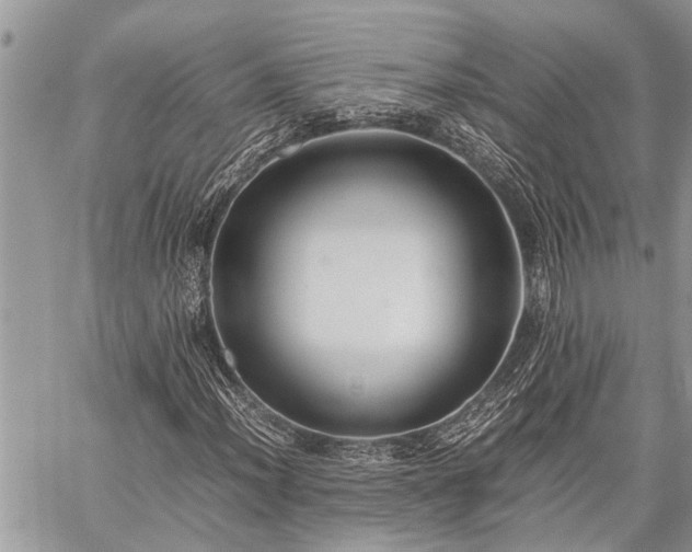 X0000059801012200510211046