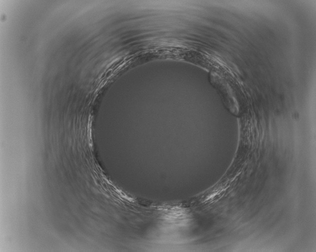 X0000059801013200510211046