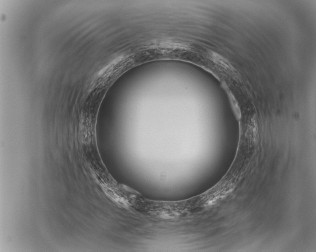 X0000059801014200510211046