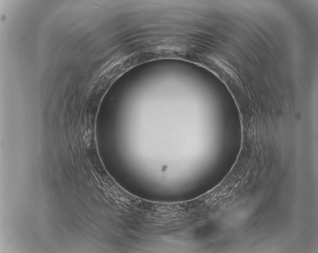 X0000059801015200510211046