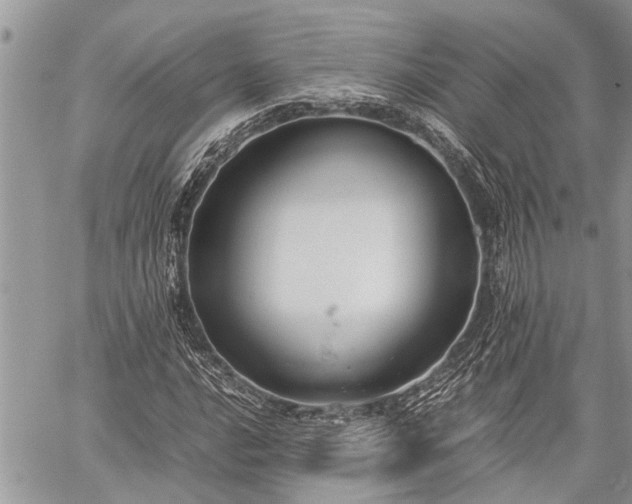 X0000059801016200510211046