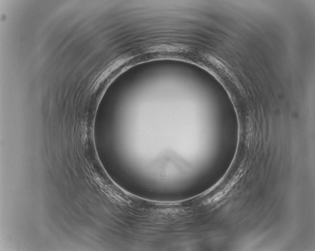 X0000059801017200510211046