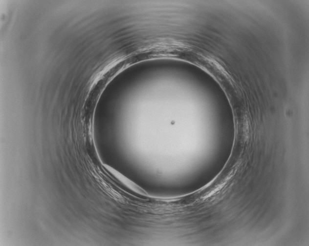 X0000059801018200510211046