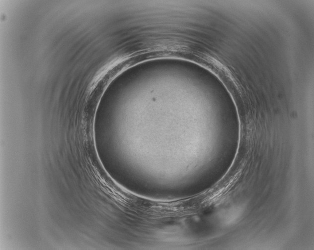 X0000059801019200510211046