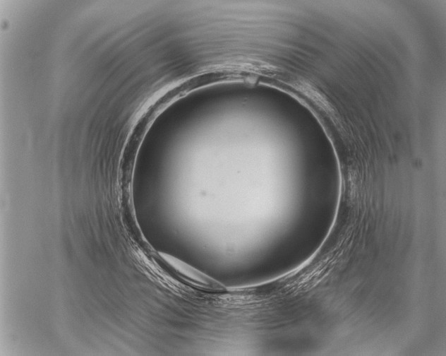 X0000059801020200510211046