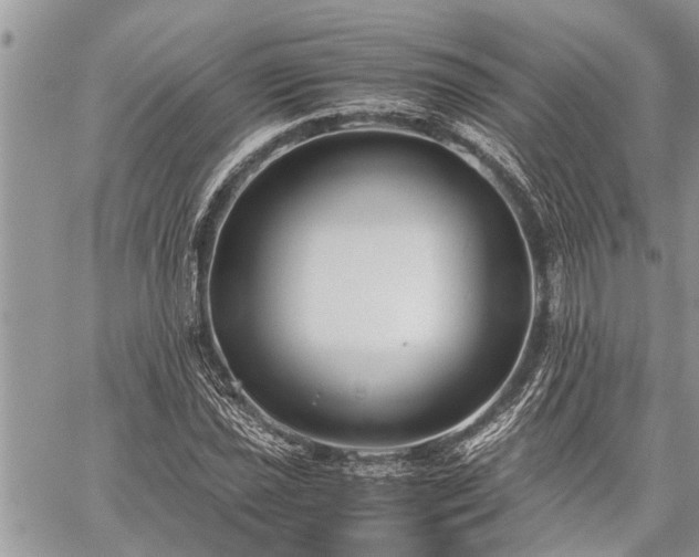 X0000059801021200510211046