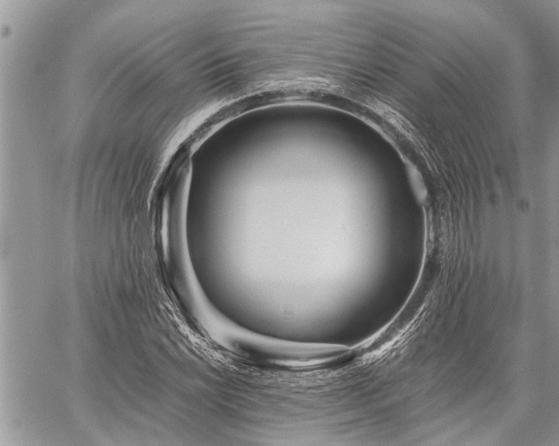 X0000059801022200510211046