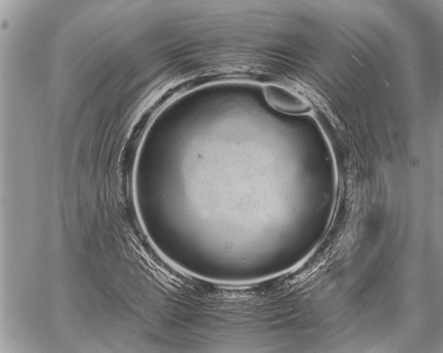 X0000059801023200510211046