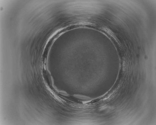 X0000059801024200510211046