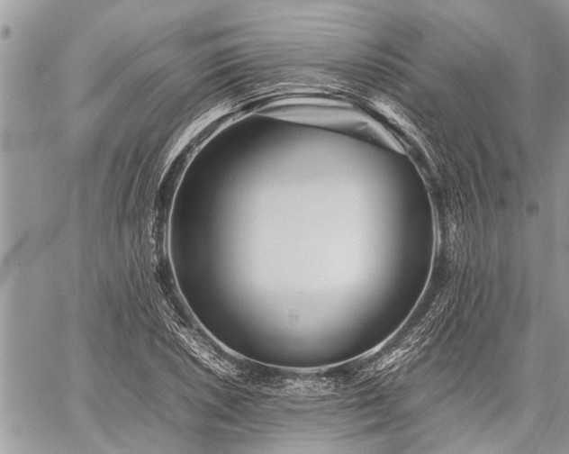 X0000059801026200510211046