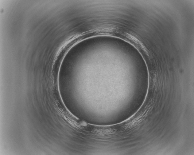 X0000059801027200510211046