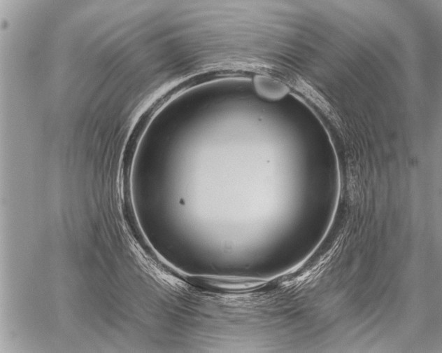 X0000059801028200510211046