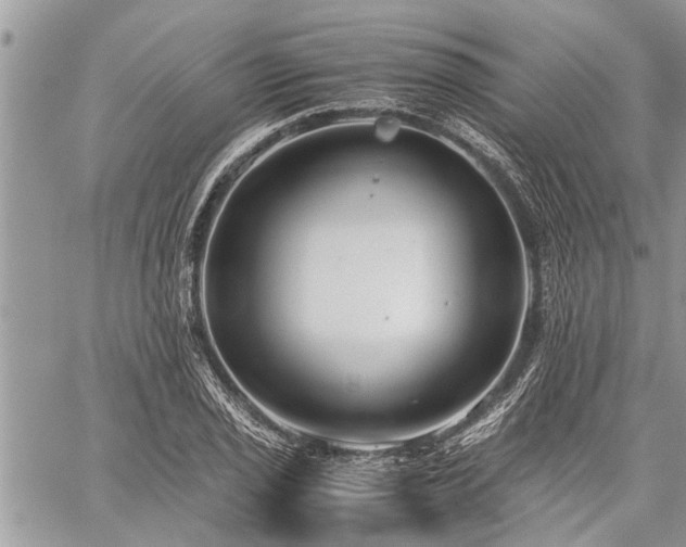 X0000059801029200510211046