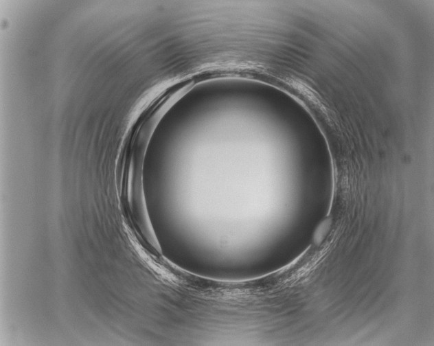 X0000059801030200510211046