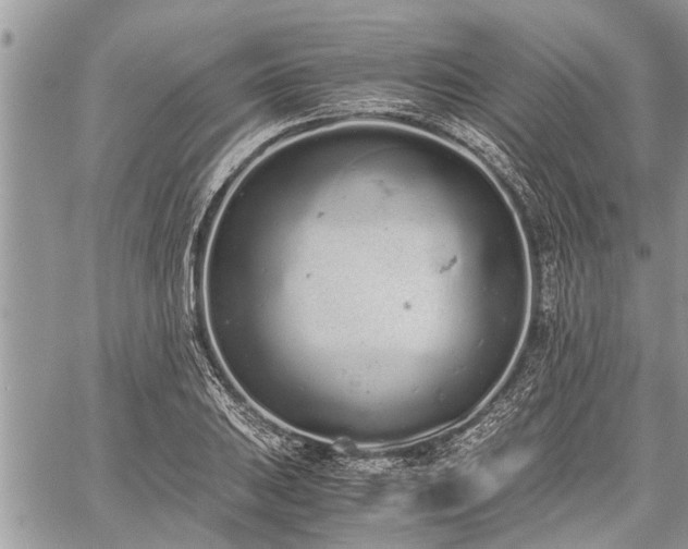 X0000059801031200510211046