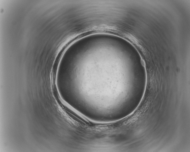 X0000059801032200510211046