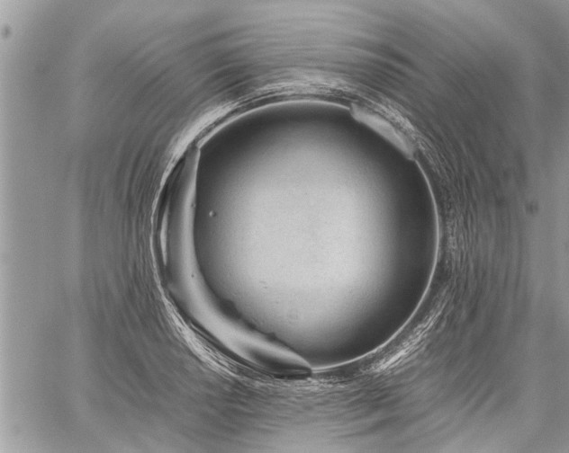 X0000059801034200510211046