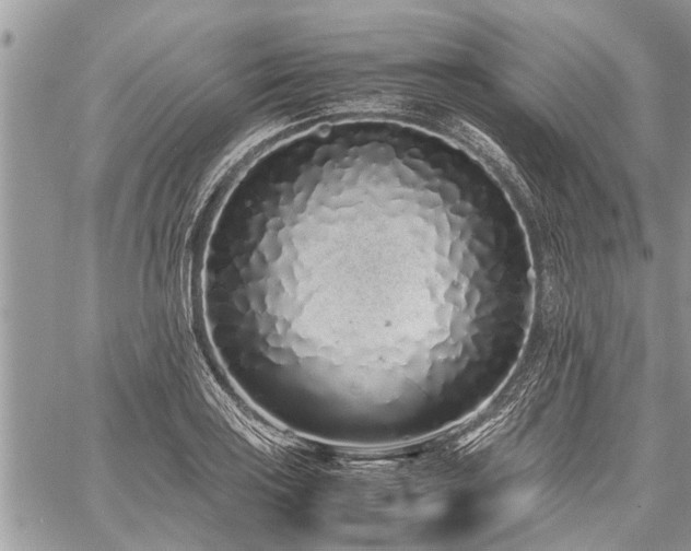 X0000059801035200510211046