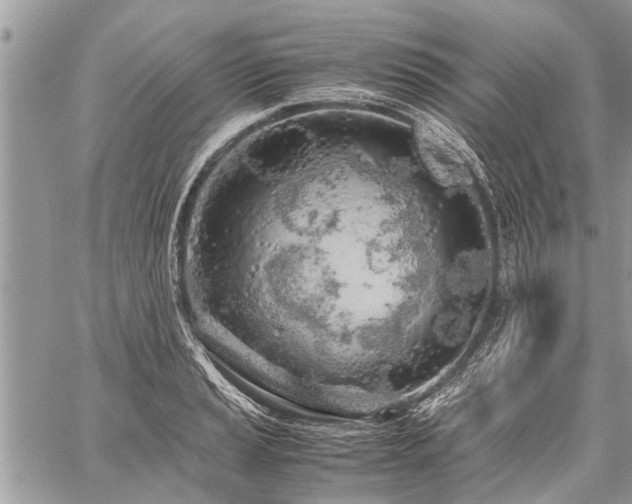 X0000059801037200510211046