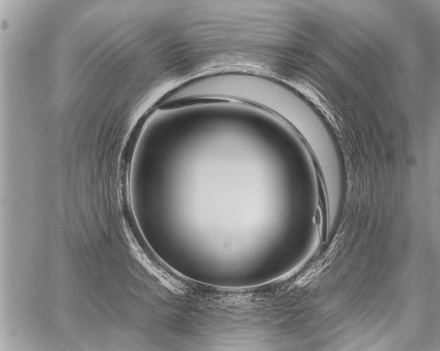 X0000059801038200510211046