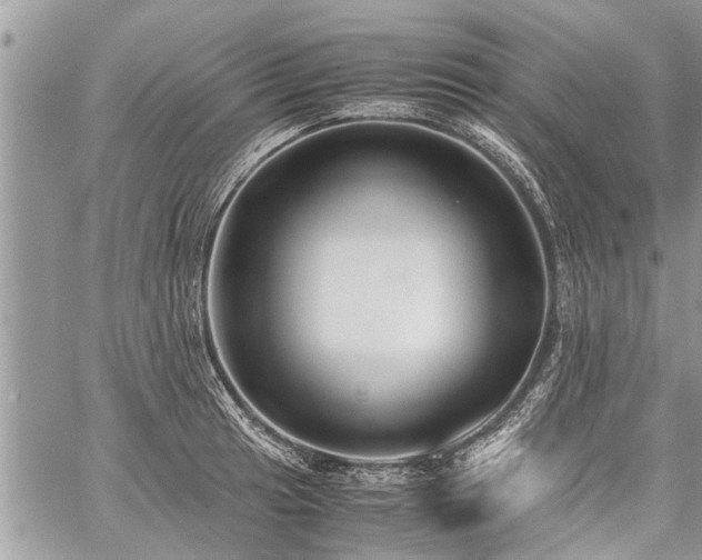 X0000059801041200510211046