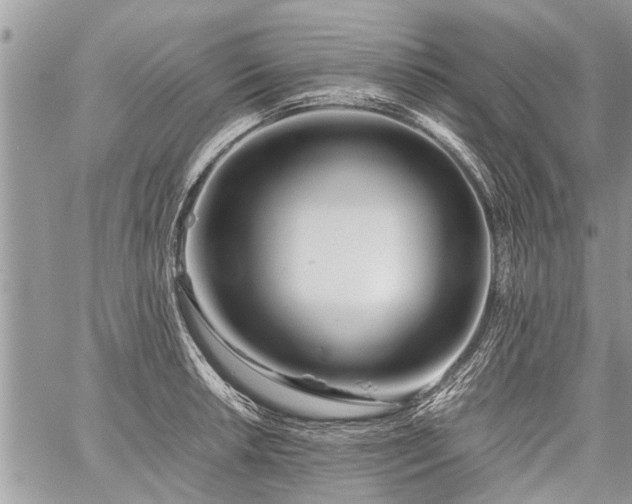 X0000059801042200510211047