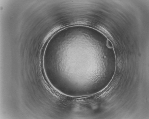 X0000059801043200510211047