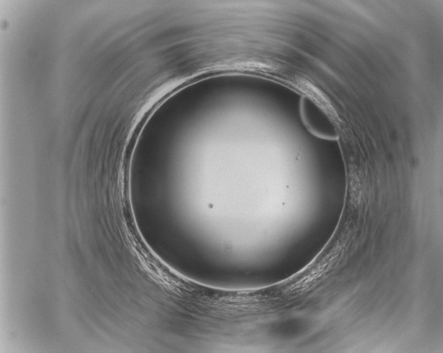 X0000059801044200510211047