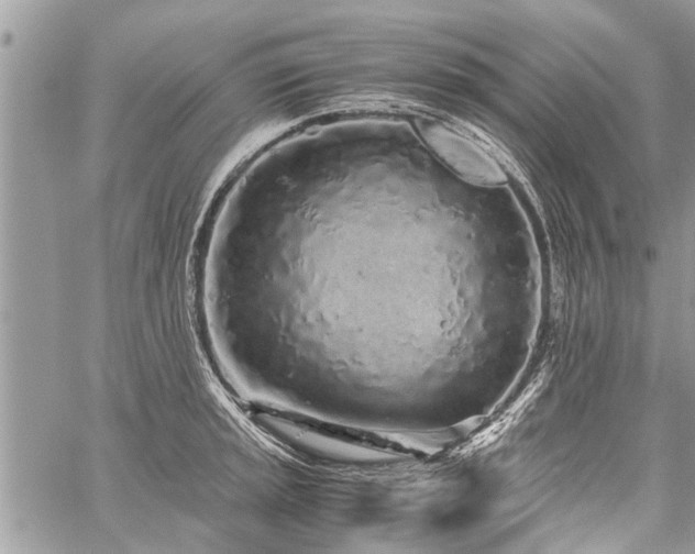 X0000059801045200510211047