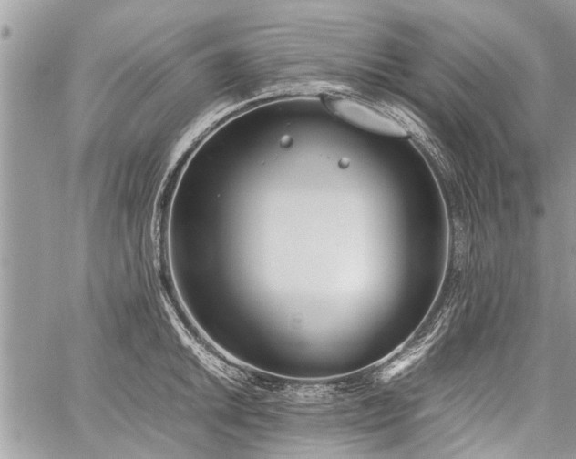 X0000059801046200510211047