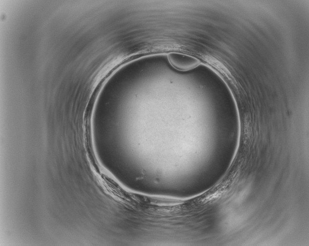 X0000059801047200510211047