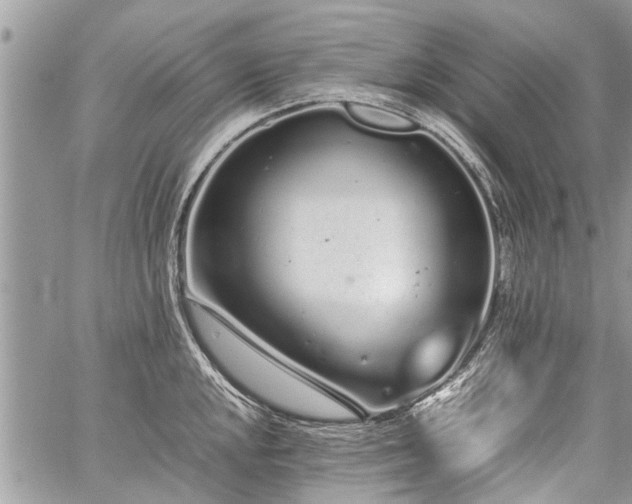 X0000059801048200510211047