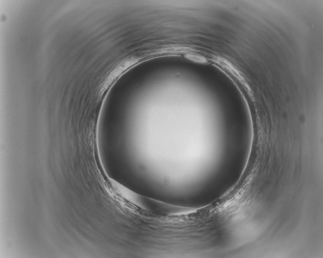 X0000059801049200510211047