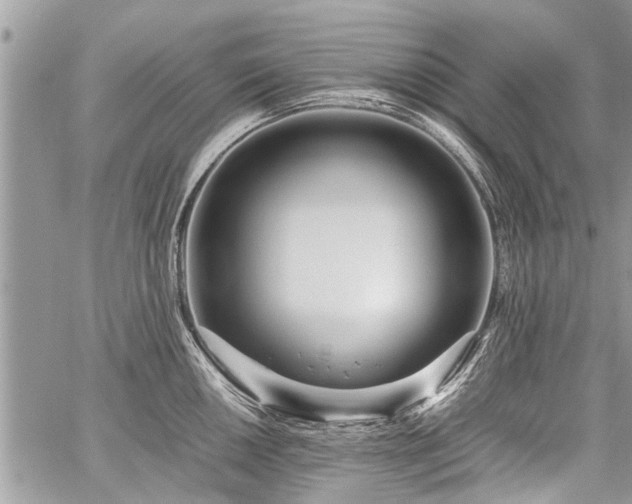 X0000059801050200510211047