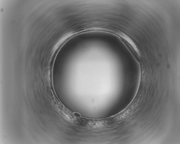 X0000059801051200510211047