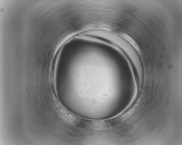 X0000059801052200510211047