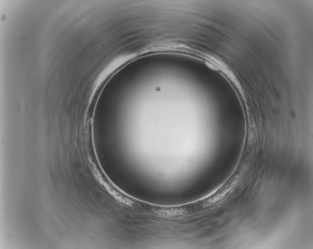 X0000059801053200510211047