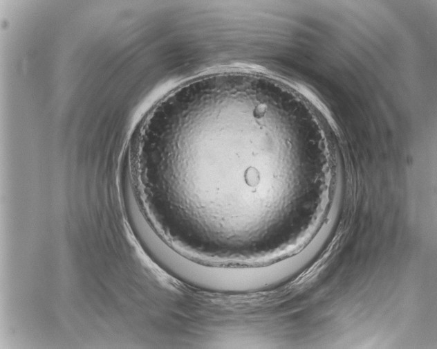 X0000059801054200510211047