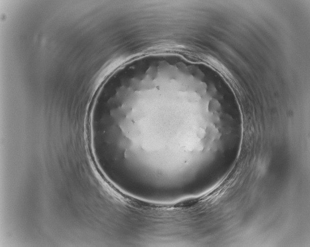 X0000059801055200510211047