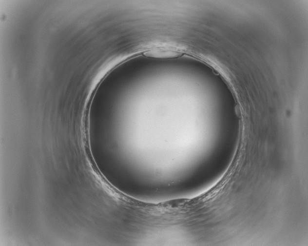 X0000059801056200510211047