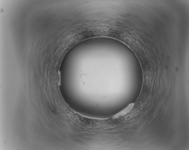 X0000059801057200510211046