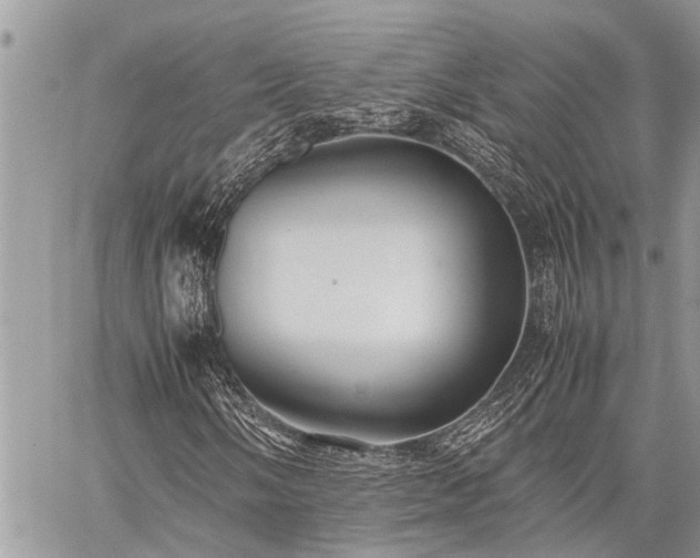 X0000059801058200510211046