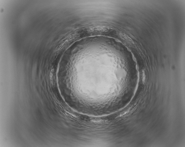 X0000059801059200510211046