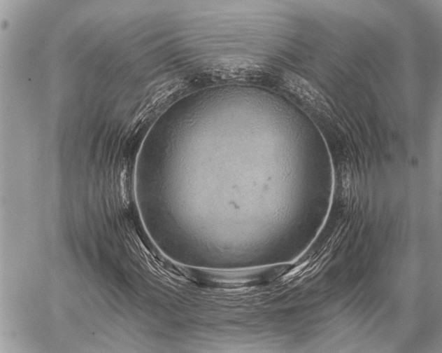 X0000059801060200510211046