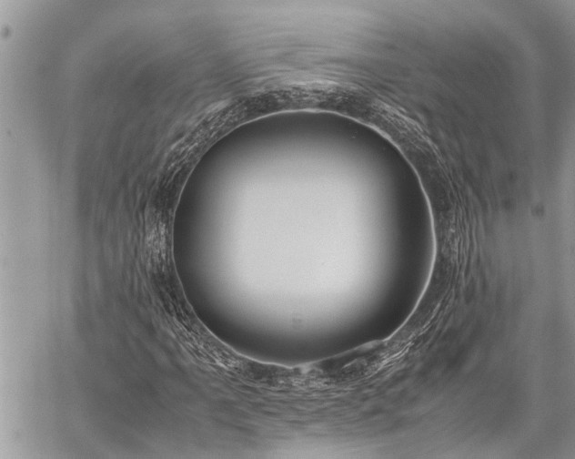 X0000059801061200510211046