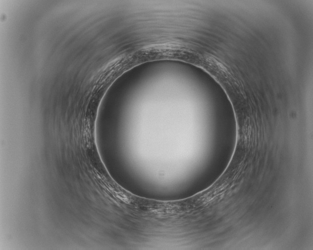 X0000059801062200510211046