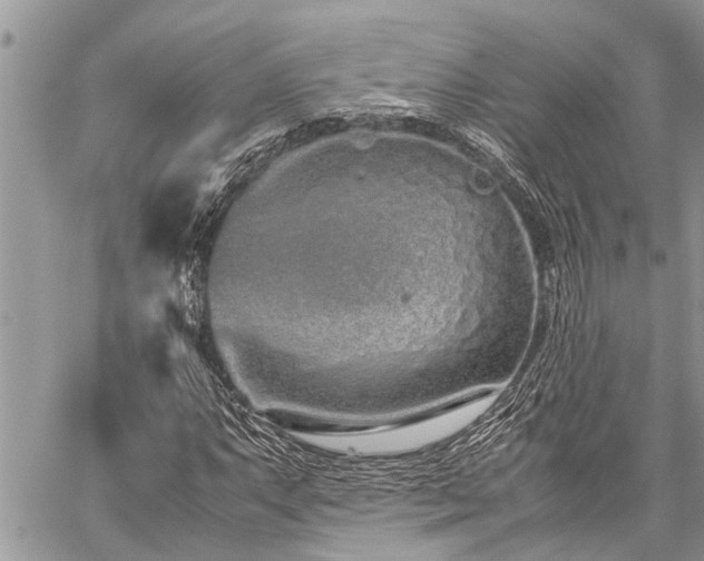 X0000059801063200510211046