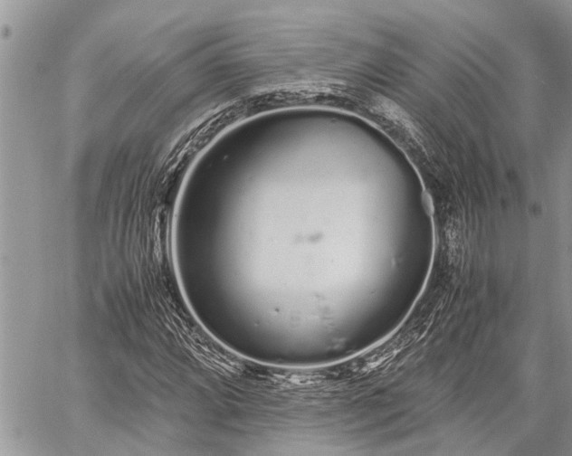 X0000059801064200510211046