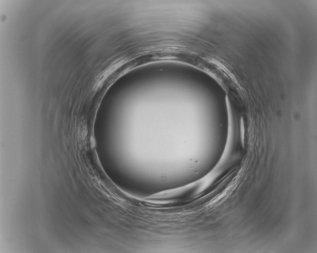 X0000059801065200510211046